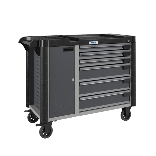 Tủ đồ nghề di động WDS-6.1